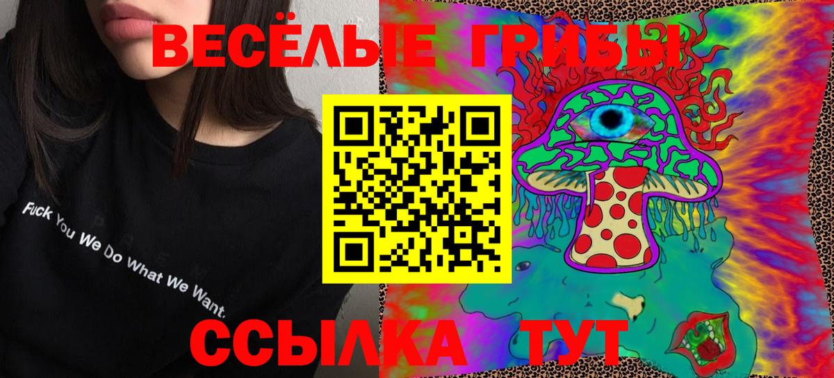 Псилоцибиновые грибы Psilocybine cubensis Кузнецк