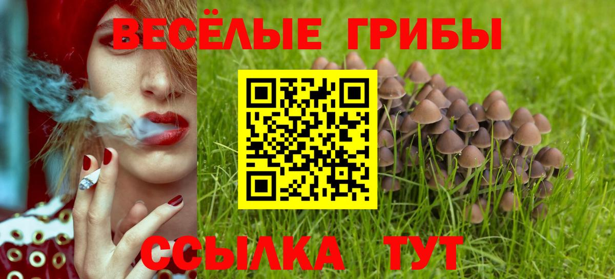 Псилоцибиновые грибы прущие грибы  Вход с VPN  Кузнецк 